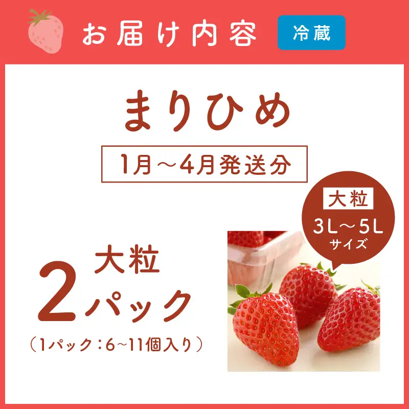 イチゴ （まりひめ）大粒 2パック 《先行予約》 いちご【1181-2】