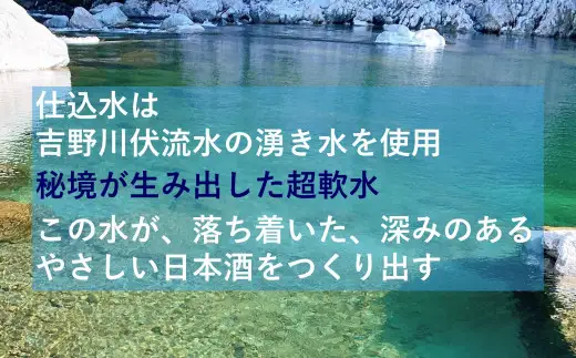 日本酒 特別純米 地酒 阿波山田錦 無濾過生原酒 720ml 【 三芳菊 】