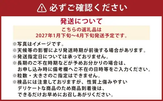 『まるでデザートのような甘～い、高級塩トマト』 約2.5kg 1箱 熊本県産 【2027年1月下旬発送開始】 野菜 やさい トマト とまと 塩トマト