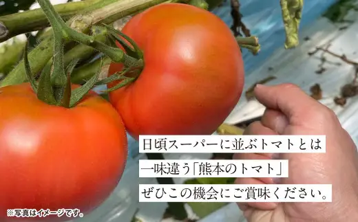 『まるで太陽の恵みをそのまま閉じ込めたような真っ赤な大玉トマト』約3.5kg 1箱 （熊本県産） 【2027年1月下旬～5月下旬まで発送予定】 野菜 やさい トマト とまと 大玉トマト
