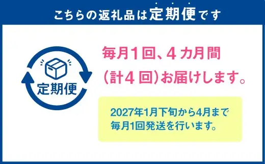 【4か月連続定期便】『まるでフルーツのような特選ミニトマト』 約2.5kg×4回 合計約10kg  特別な定期便 熊本県産 【2027年1月下旬発送開始】 野菜 やさい トマト とまと ミニトマト