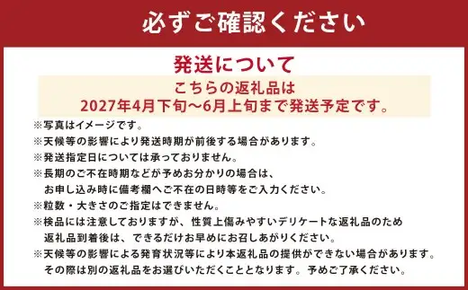 まるで火の国くまもとの太陽のような大玉スイカ1玉（熊本県産） 【2027年4月下旬発送開始】 すいか 西瓜 スイカ くだもの フルーツ 甘い 果物 夏 国産 常温