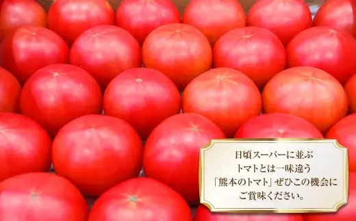 太陽の恵みを閉じ込めた真っ赤な大玉トマト2kg（熊本県産） 【2027年1月下旬発送開始】 甘い 真っ赤 野菜 やさい 爽やか フルーツトマト とまと 国産 常温
