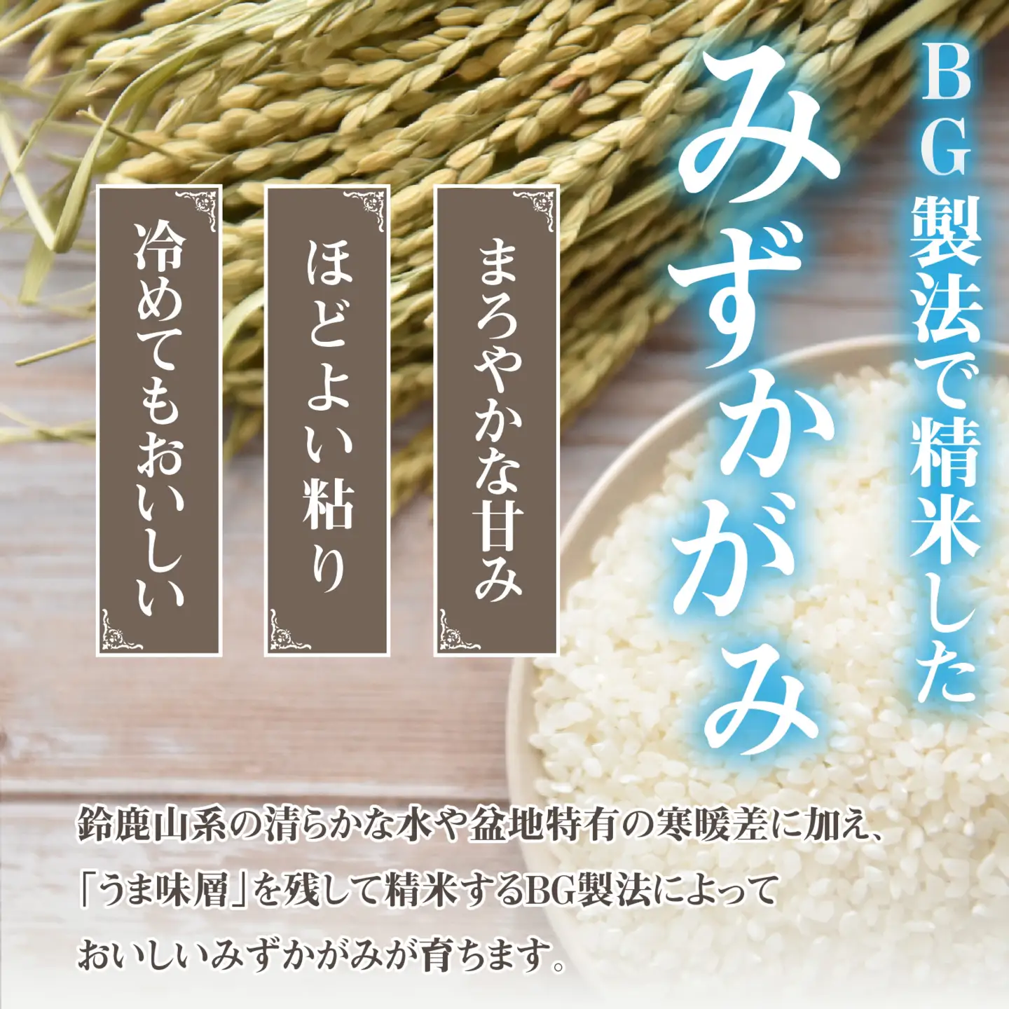 【先行予約】【令和8年産新米早期予約 毎月定期配送・計3回】 BG無洗米みずかがみ10kg×3回 [K-00409] / 無洗米