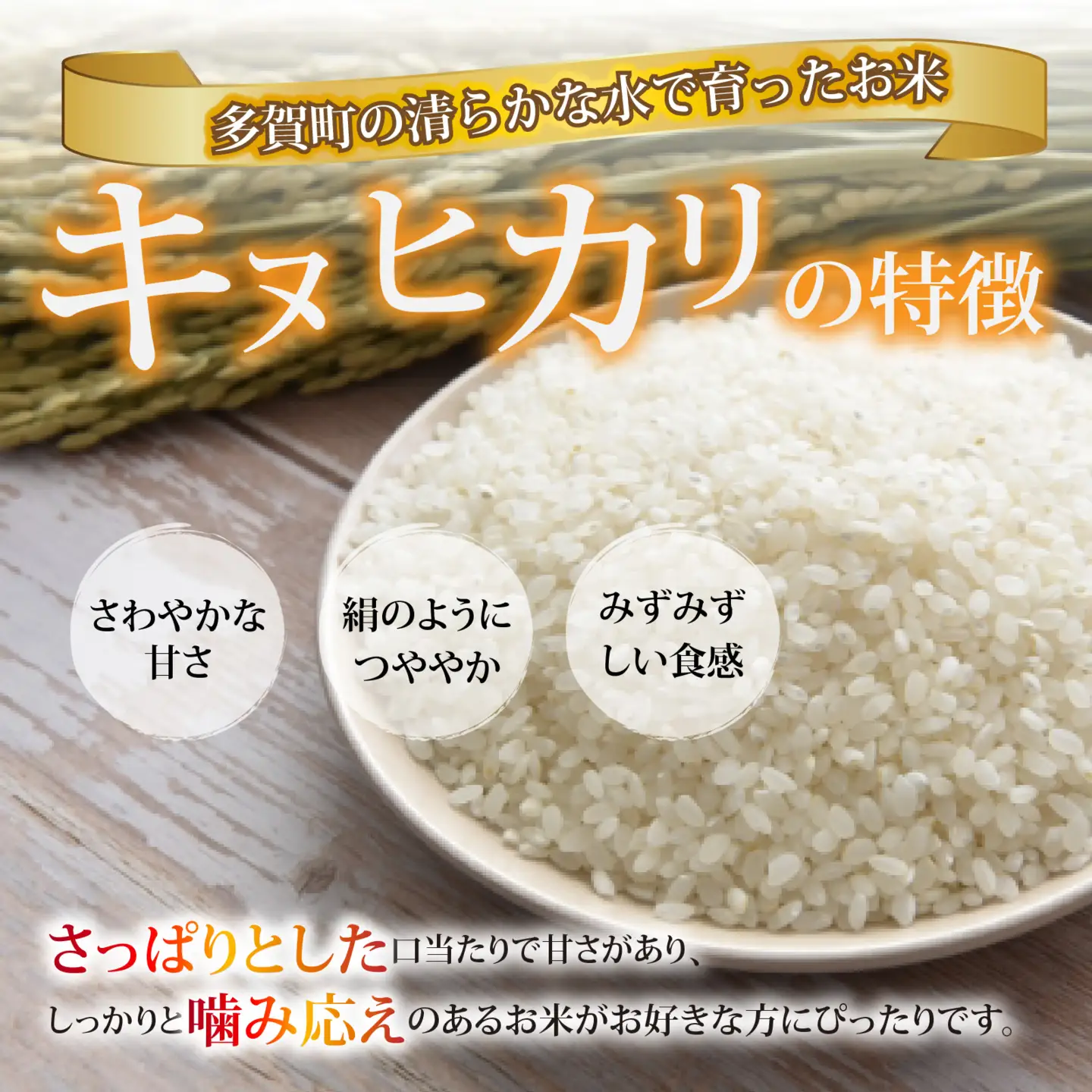 【先行予約】【令和8年産新米早期予約 毎月定期配送・計3回】 キヌヒカリ5kg×3回　おいしい多賀のお米 [D-00402]