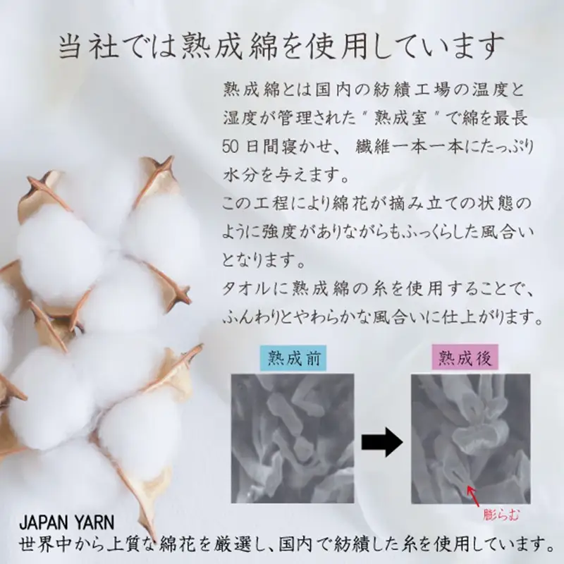 普段使いにぴったりのバスタオル 3枚セット ミルクティーベージュ 泉州タオル