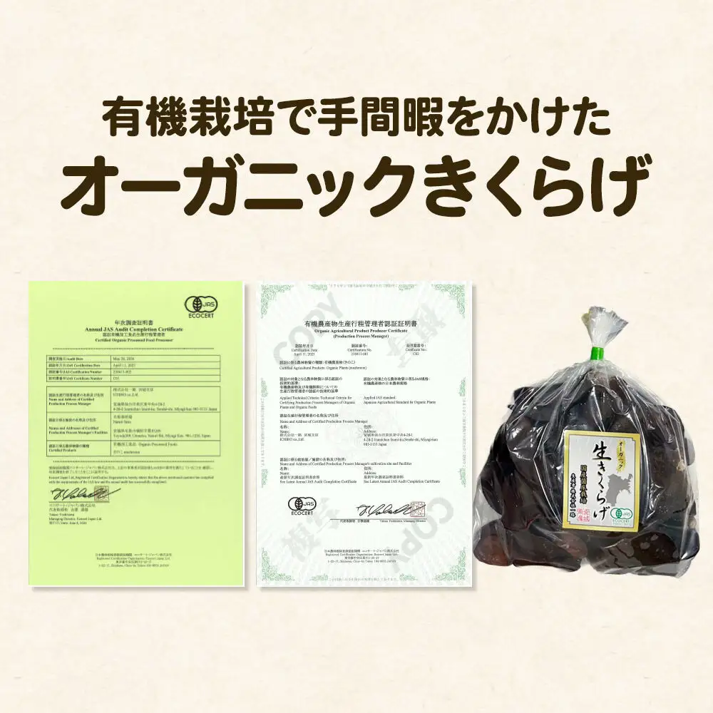珍しいオーガニックきくらげ栽培場 収穫体験×3名様