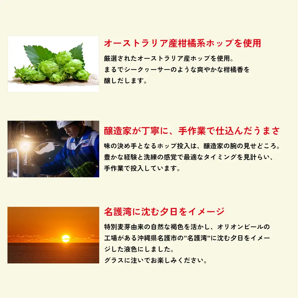 オリオンビール《名護市限定返礼品》75BEER《ナゴビール》ピルスナー 350ml×24本入 オリオンビール