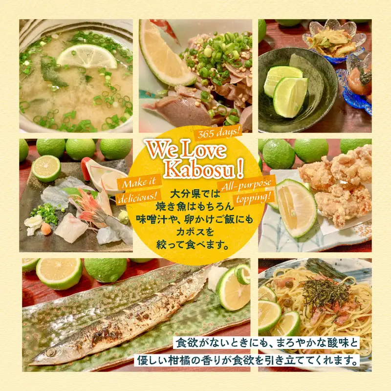 【令和8年9月発送】朝霧立ち込める里からお届け！徳丸農園 種無しかぼす約1.8kg_2177R
