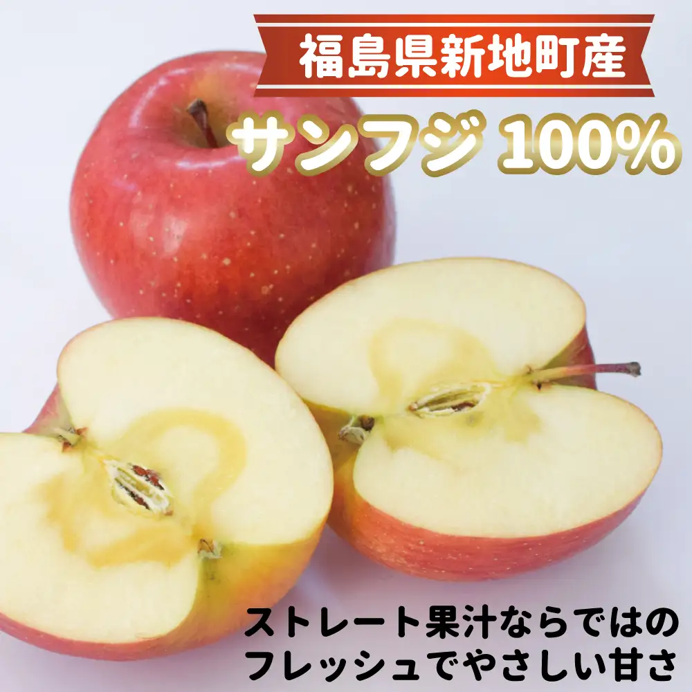 福島産 りんごジュース 100％ ストレート果汁 1000ml×6本セット サンふじ ＜2027年1月以降順次発送＞