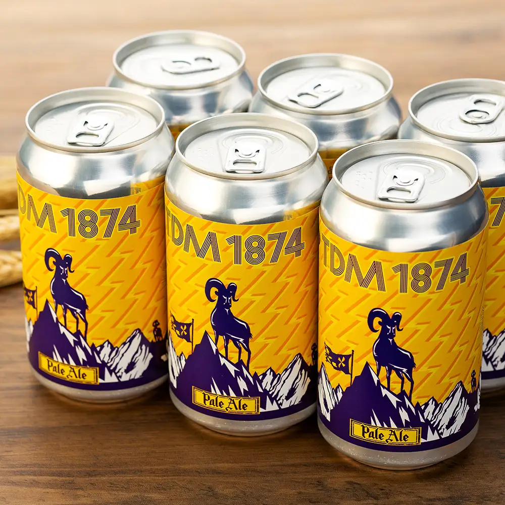 TDM 1874 Brewery クラフトビール　ペールエール（350ml×12本）【お酒・地ビール・酒】 ABG0012-01