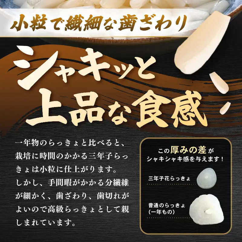 三年子花らっきょ 極小粒らっきょ 200ｇ×5袋 化学調味料不使用 漬け物 らっきょう [A-0708]