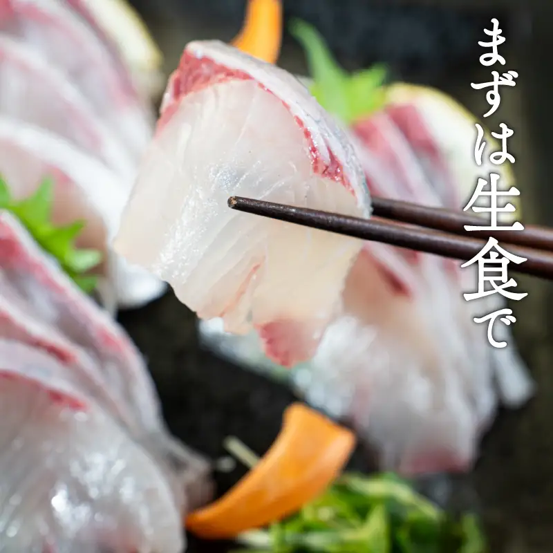 【カンパチ】カンパチづくしセット