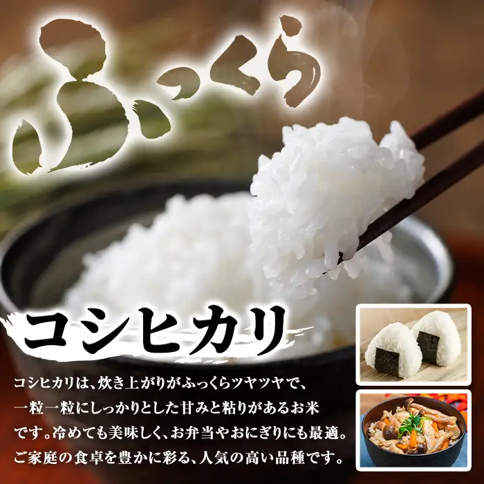 令和8年産 新米 鹿児島県産 コシヒカリ 5kg 国産 精米 白米 ごはん【山下商店】A95002