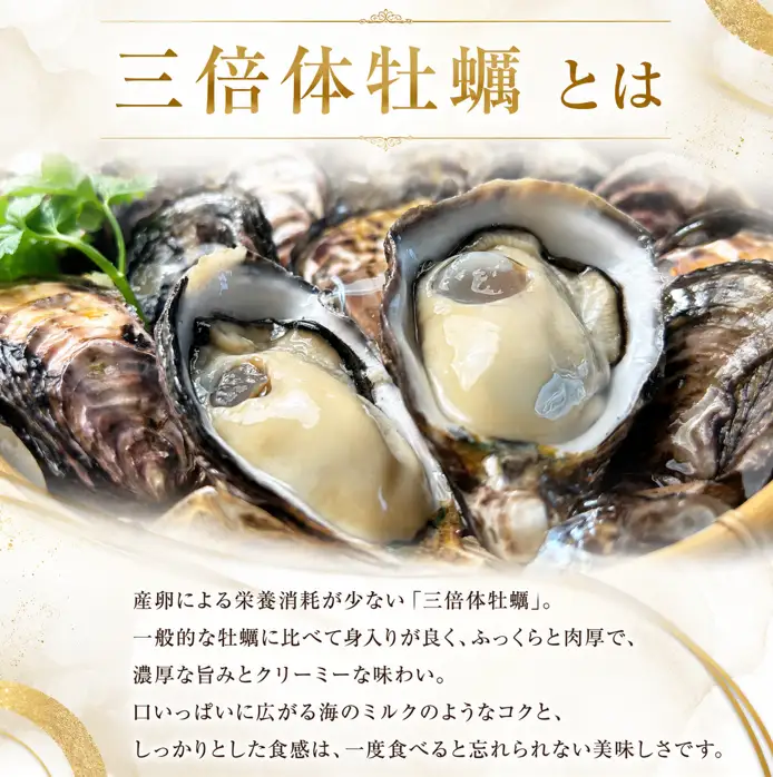 牡蠣 生食用 《全国牡蠣-1グランプリ 準グランプリ受賞！》 12個