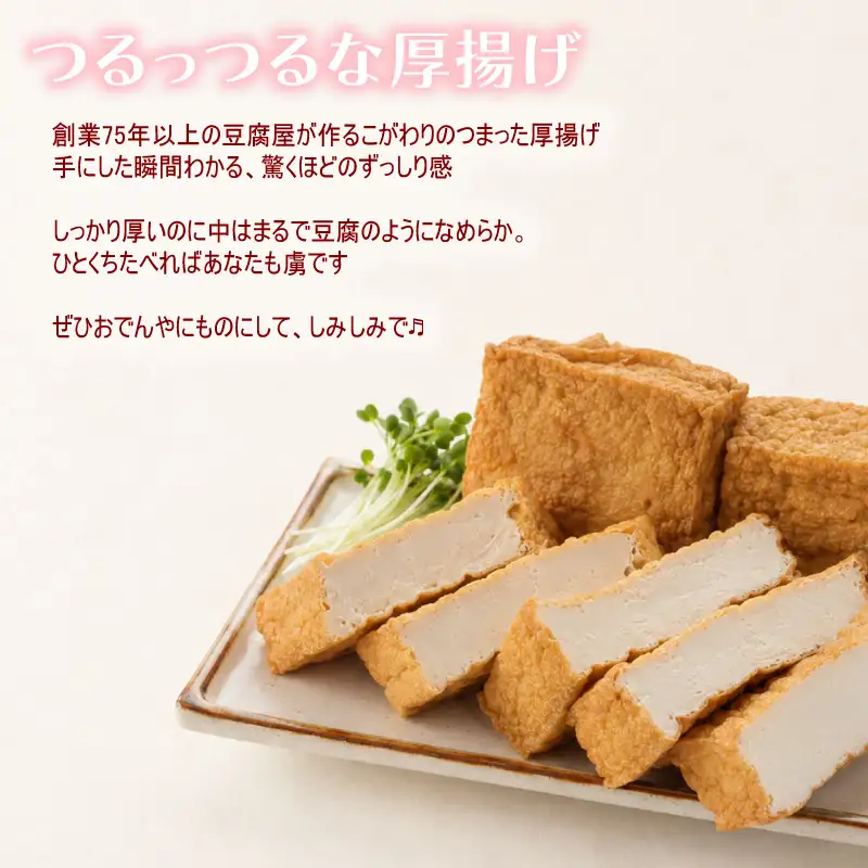 【訳あり】 豆乳 厚揚げ セット 大豆 手作り 料理 家庭 老舗豆腐屋 大豆 イソフラボン 極厚 加工品 山盛り こだわり 大豆 豆乳 無調整 豆乳飲料 セット 日時指定可 健康 国産 無添加 小山商店 新潟県 新発田市 koyama002 