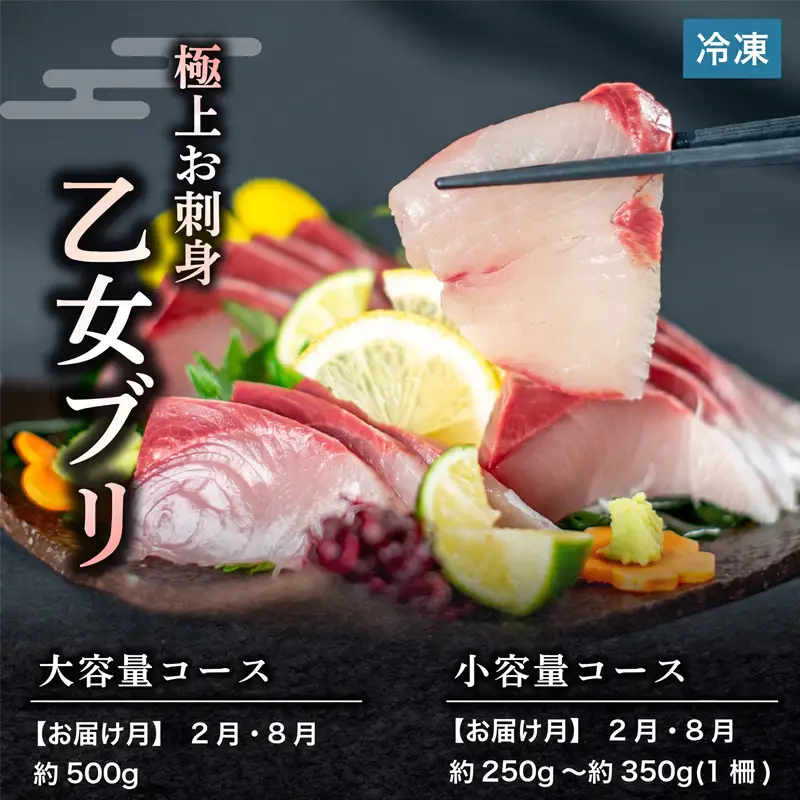 【冷凍】　刺身 定期便 6ヶ月 小容量 コース 小島水産 がお届けする！ 美味しい お刺身 