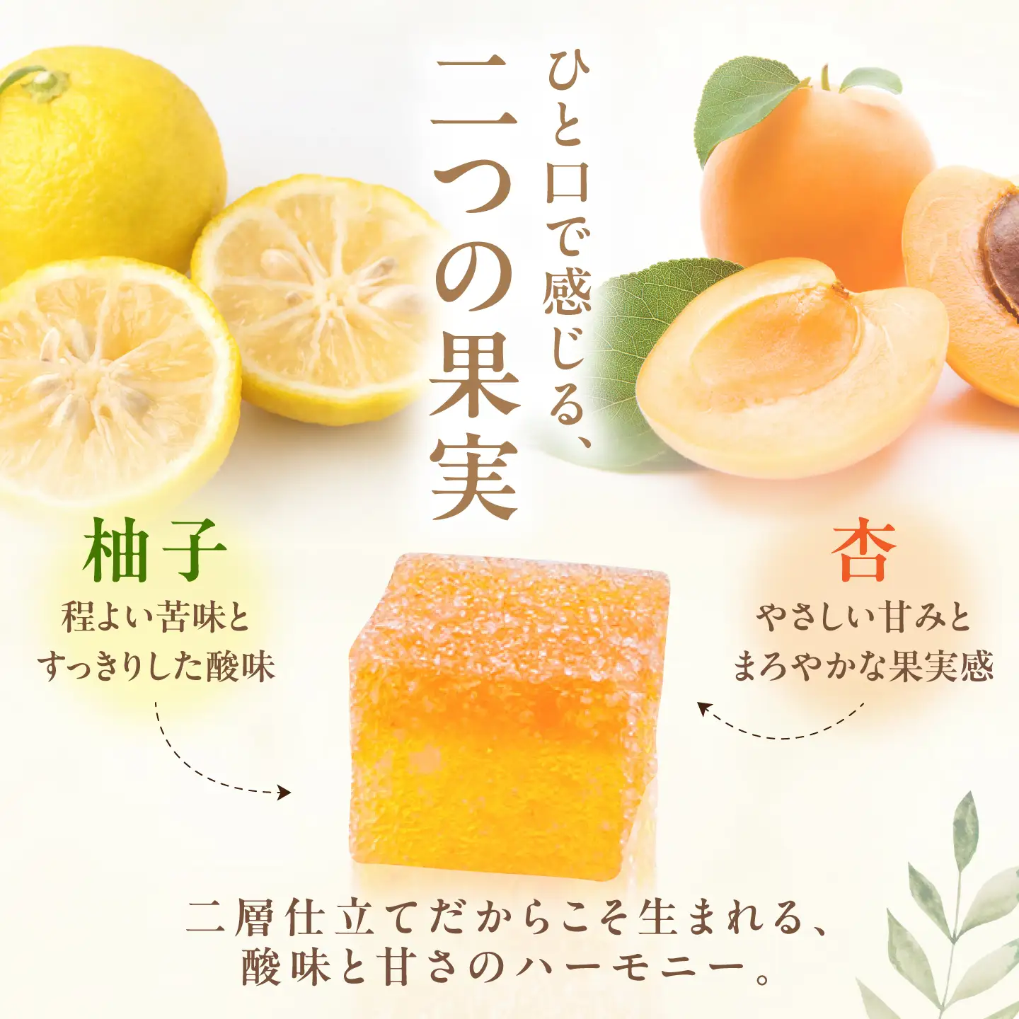 【12月上旬より順次発送】柚子と杏のフリュイ 3箱（1箱18個入り）/ 恵那市 / 恵那寿や[AUAS032]