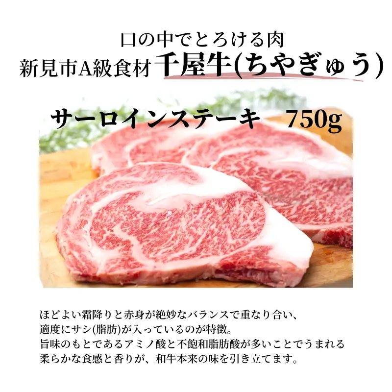 特選千屋牛サーロインステーキ 750g 3枚 贈答用 岡山県新見市
