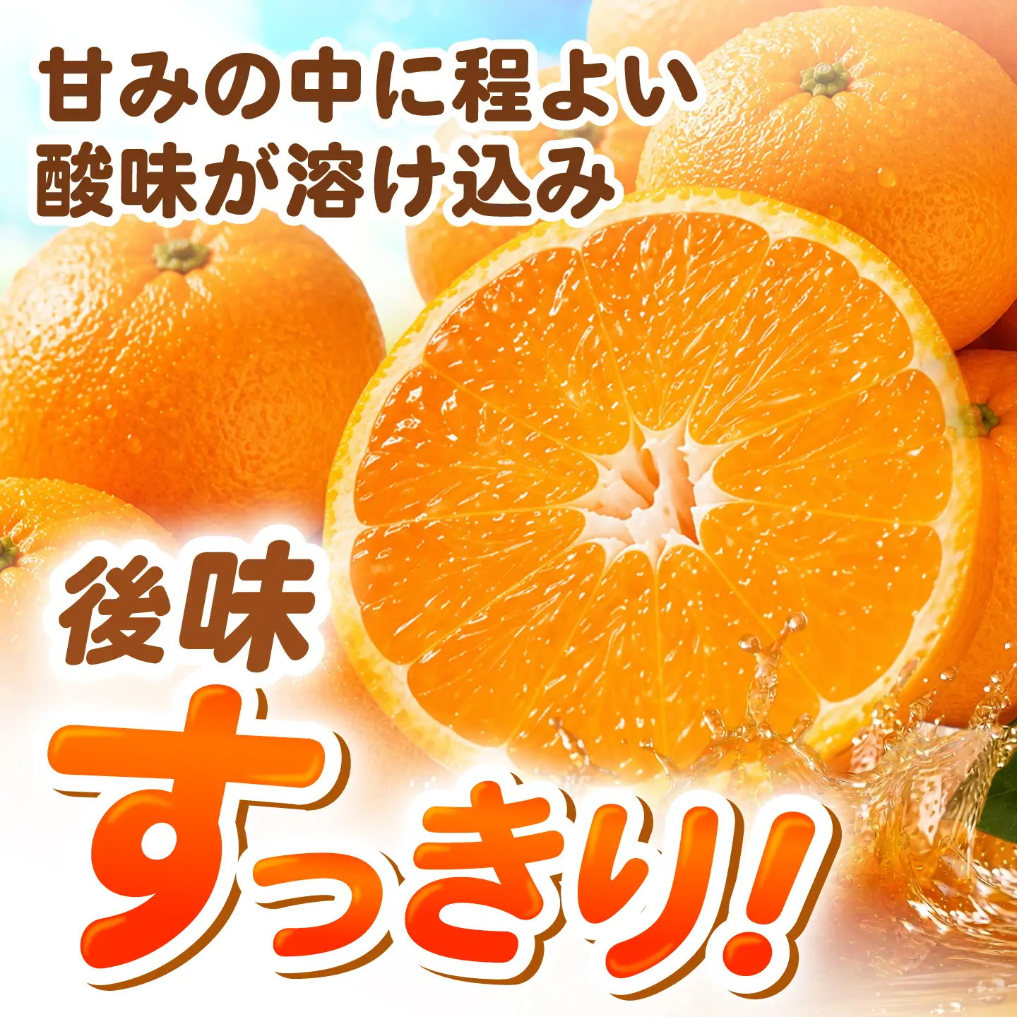 【2026年12月下旬-発送】温州みかん 5kg [SFG004] みかん