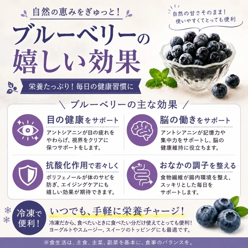 冷凍ブルーベリー 通常品 500g