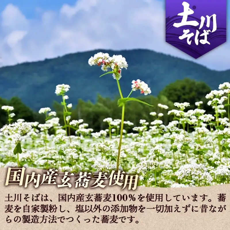 【ふるなび限定】そば 4.8kg 乾麺 そば