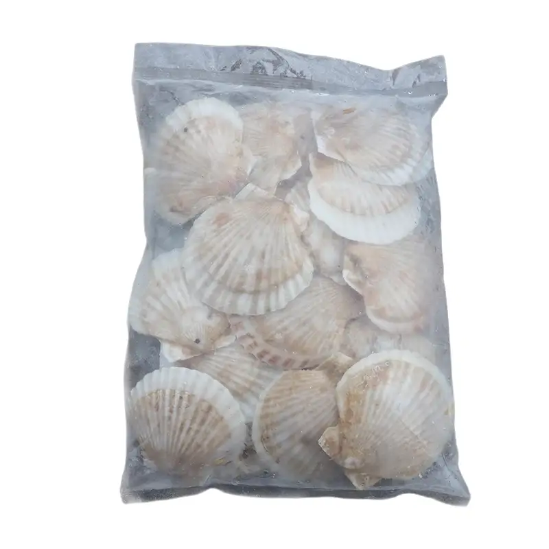 陸奥湾産 冷凍 ホタテ片貝 1kg【平内町漁業協同組合】 F21J-394