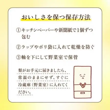 あきづき 梨 3kg 6～10玉 【2026年収穫分】かすみがうら市【配送不可地域：離島・沖縄県】【1757990】