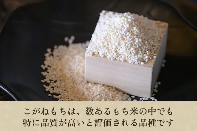 新潟産こがねもち 精米3kg《順次出荷》 もち米 餅 コガネモチ 新潟県産 お米 おこわ  加茂市 かやもり農園