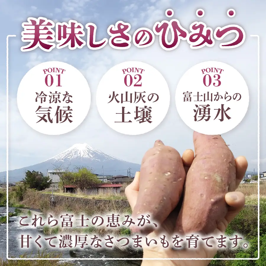 野菜 サツマイモ（シルクスイート）2kg さつまいも