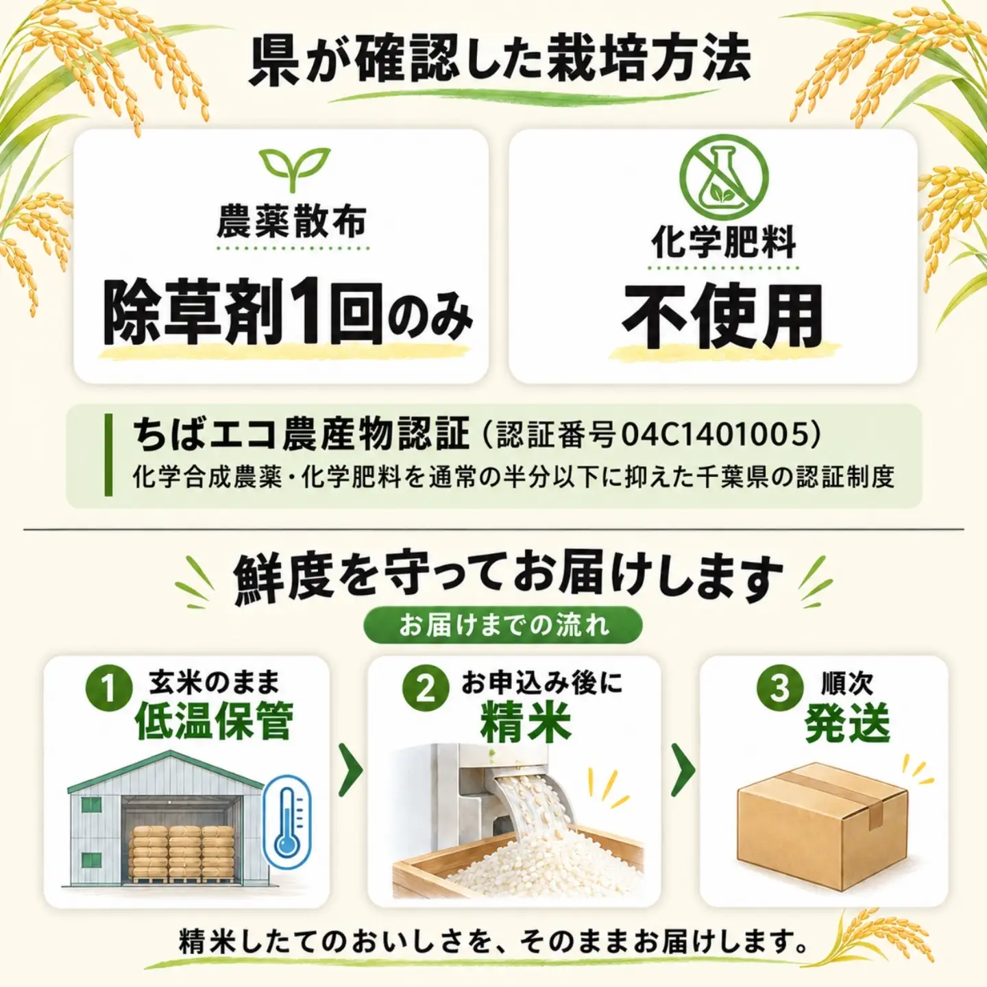 【数量限定】 令和7年産こうざきコシヒカリ10kg 1等米 ちばエコ認証 注文後精米[014-a037]