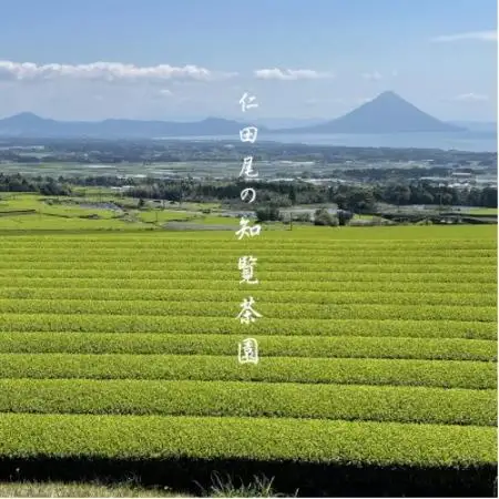 【自宅用】知覧茶園の深むし茶「金・吟」各70g×2本セット【1764919】