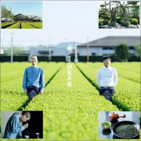 【自宅用】知覧茶園の深むし茶「金」70g×2本セット【1767810】