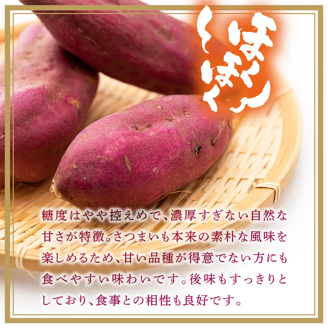 紅あずま 約2.5kg （6回 定期便 ）（茨城県共通返礼品 [さつまいも]：行方市産）