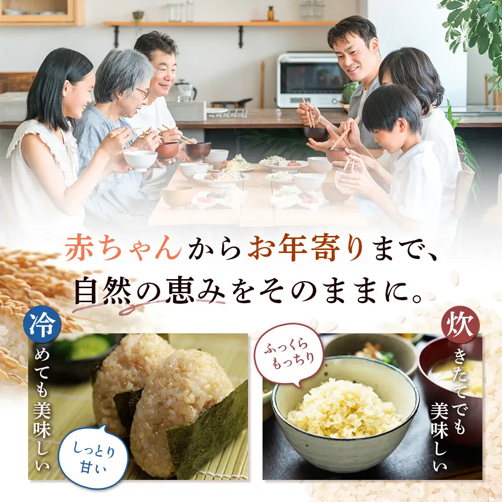【2025年産】北海道産 特別栽培米 ゆめぴりか 玄米 20kg（無化学肥料、除草剤一回だけで栽培した体に優しいお米）【25175】
