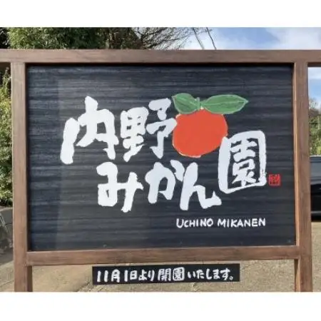 内野みかん園のみかんワイン 375ml×1本【1576048】