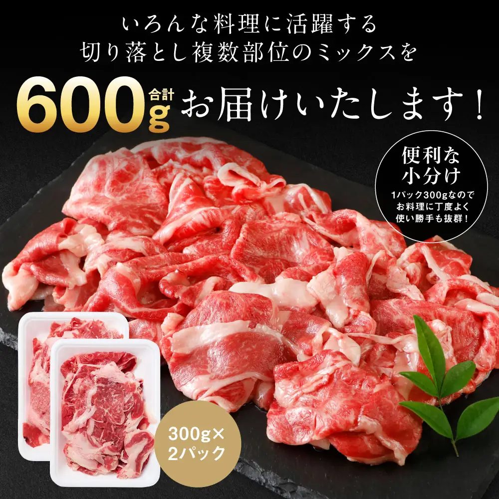 【訳あり】 牛肉 くまもと黒毛和牛 切り落とし 600g（300g×2）【2026年11月発送】 牛肉