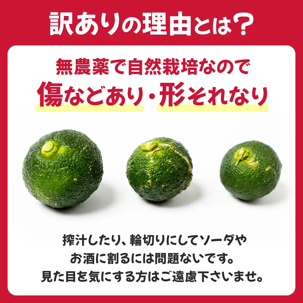 【先行予約】 青ゆず（訳アリ）青柚子 ゆず 柚子 訳あり 5kg（50～100玉）