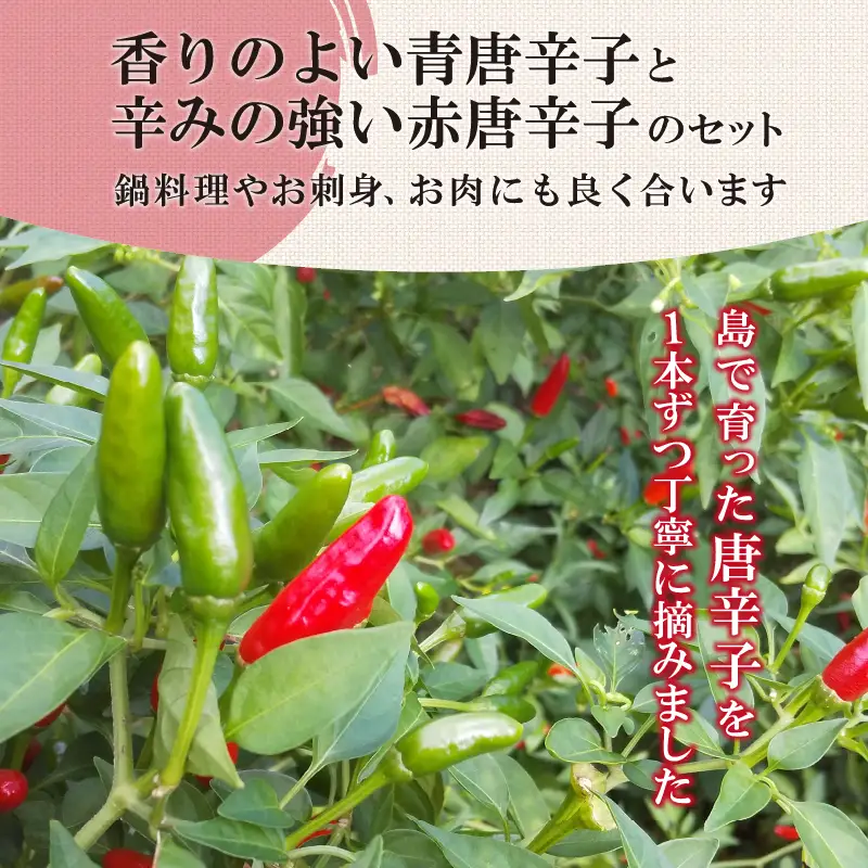新島　超辛一味！　島唐辛子セット