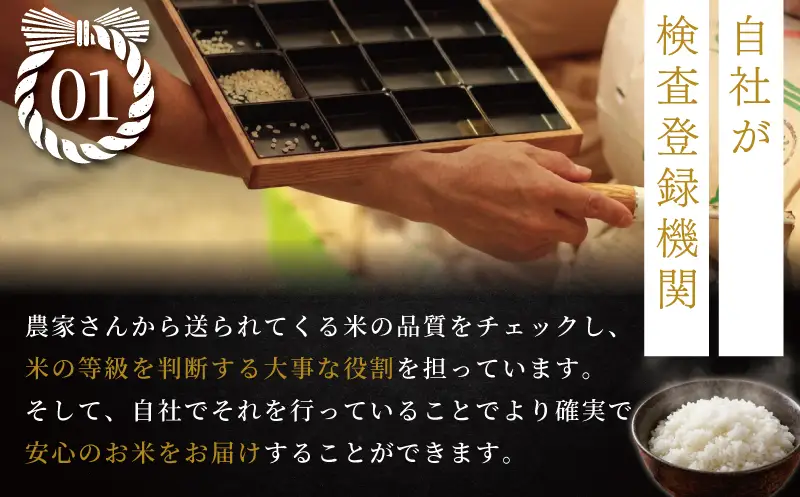 新米 令和8年産 ミルキークイーン 5kg 新米
