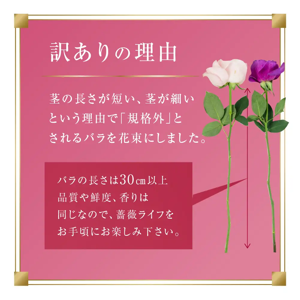 【訳あり】バラ 花束 35本 花