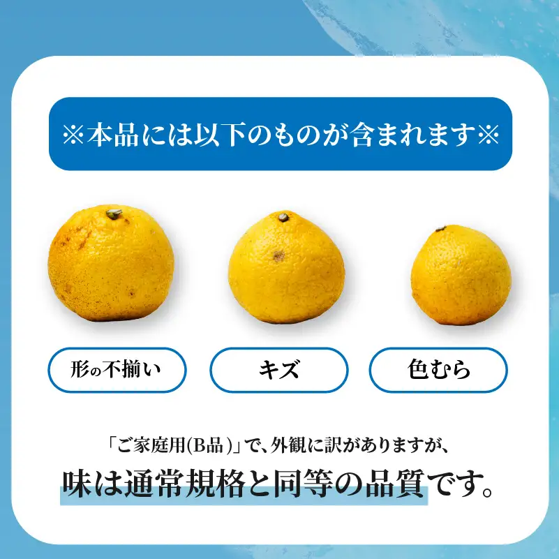 【2027年2月中旬から順次発送】はるか 5kg  家庭用 みかん 柑橘 【RNK028】