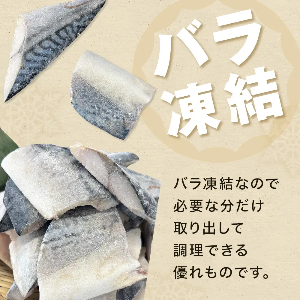 〈 訳あり 〉 うす塩 トロさば 腹骨取り 切身 （ どっさり 1kg ） 訳アリ さば サバ 鯖  切り身 カット 塩味 魚 魚介 魚介類 海鮮 バラ凍結 宮城県 宮城 石巻市 石巻