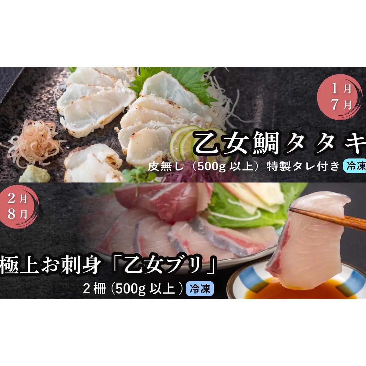 【冷凍】 刺身 定期便 6ヶ月 小島水産 がお届けする！ 美味しい お刺身 大容量 コース 