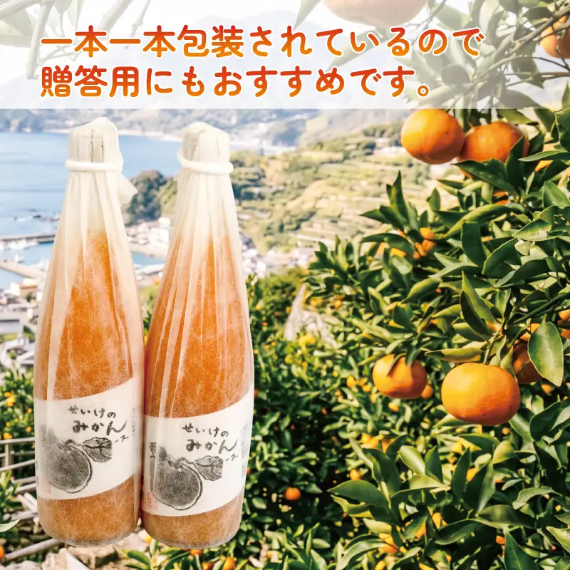 温州みかんジュース 720ml × 2本 贈答用 清家 100％ジュース ストレートジュース ストレート ギフト 柑橘 みかん 温州みかん ジュース mikan ミカン 爽やか 愛媛ミカン 甘い 温州 愛媛みかん 宇和島産 果汁 飲料 果物 くだもの フルーツ 国産 愛媛 宇和島 H010-170005