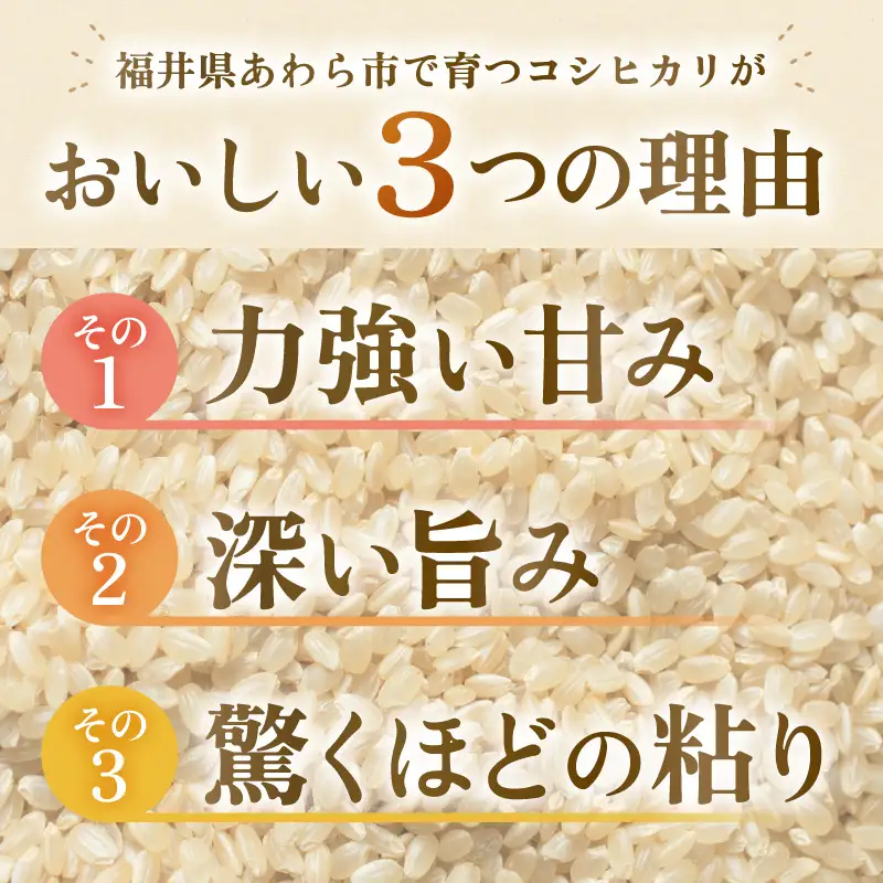 【先行予約】【令和8年産】コシヒカリ 玄米 5kg 化学肥料 農薬不使用 自然栽培米 / 北陸 福井県産 あわら市 ブランド米 玄米 お米 コメ ※2026年10月上旬以降順次発送予定 [aw138-b001]