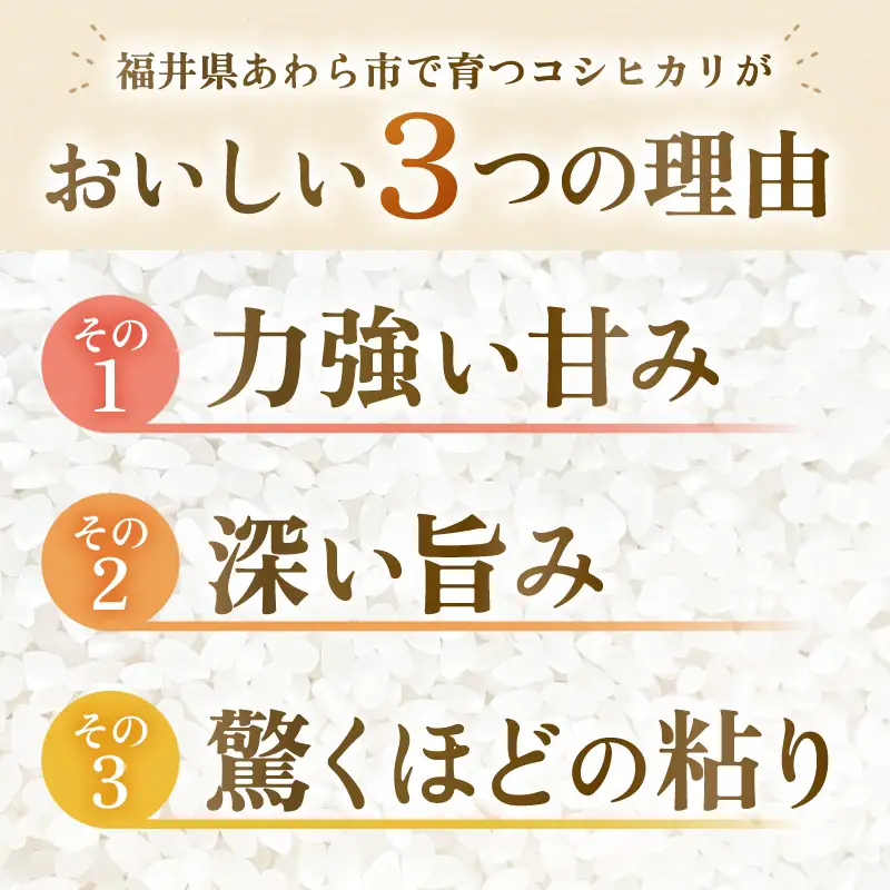 【先行予約】【令和8年産】【定期便】 ≪6ヶ月連続お届け≫ コシヒカリ 精米 5kg×6回 （計30kg） 化学肥料 農薬不使用 自然栽培米 / 北陸 福井県産 あわら市 ブランド米 白米 お米 コメ ※2026年10月上旬以降順次発送予定 [aw138-k002]