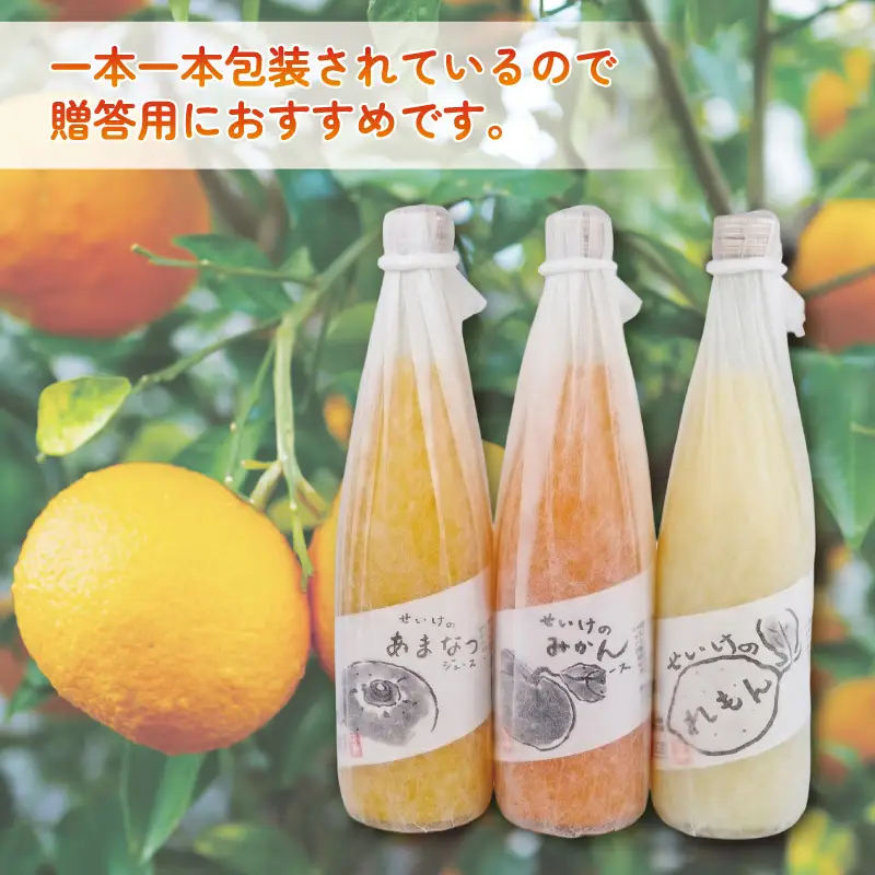 柑橘 ジュース 飲み比べ 720ml×3本 贈答用 清家 ストレート ジュース H014-170006
