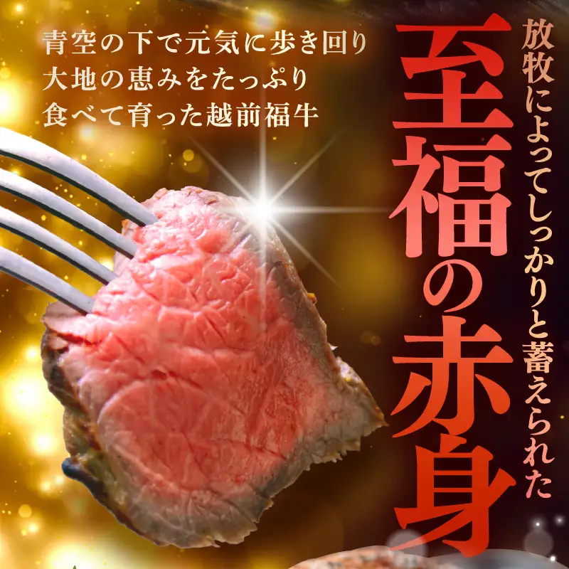 希少 越前福牛 プレミアム ローストビーフ 350g (専用ソース付属) 牛肉 ローストビーフ 冷凍 [B-1807]