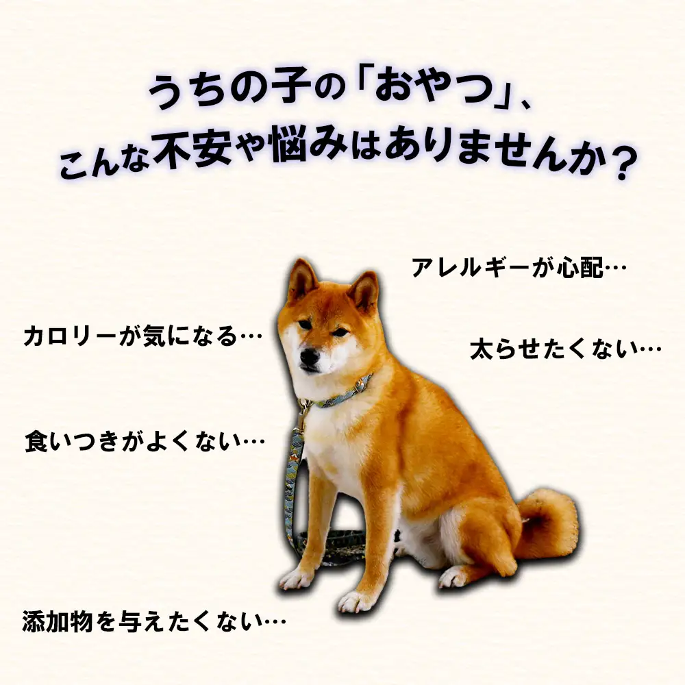 【定期便2回】ペット用馬刺しジャーキー100g